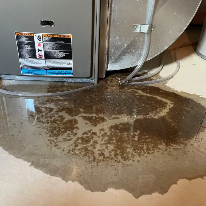 Appliance Leak Cleanup in Slaton, TX